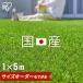  artificial lawn width 1m roll 1m 1m×5m lawn grass height 30mm real artificial lawn artificial lawn raw lawn grass raw diy domestic production Iris o-yamaIP-3015