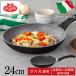 Хå꡼ ѥ ե饤ѥ24cm ꥢ   75001-777-0 (D)