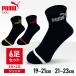 ���� �������å� �ס��� ���ݡ��ĥ֥��� ���å��� PUMA6­���å� 4293719 PUMA (D)(B)(�᡼����)