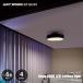 ARTWORKSTUDIO искусство Work Studio Glow 3000 LED-ceiling light свечение 3000 LED потолочный светильник (LED встроенный ) AW-0643E (~6 татами ) изоляция лампа потолочный светильник 
