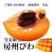  Imperial Family . on [.. loquat ]L size . ground cultivation 15 sphere vanity case entering [ Father's day gift ][ Father's day card ][ Bon Festival gift ][. middle origin ][ Honshu free shipping ]