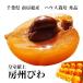  Imperial Family . on [.. loquat ] house cultivation 2L size 12 sphere vanity case entering [ Mother's Day gift ][ Mother's Day card ][ Honshu free shipping ]