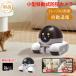 �h�ƃJ���� �ƒ�p �����J���� AI�ړ��� wifi ���� �L�p �h�[���^ 200����f �ƒ�p �Ɩ��p WIFI �Ď��J���� ���C�����X �X�}�z �t��HD ����� �y�b�g �x�r�[