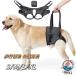  собака уход товары для ухода задний пара Harness уход для собака для Harness li - biliTHKJ шлейка задний пара маленький размер собака средний собака собака Harness . собака sini теплый удобный безопасность популярный 