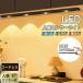  человек чувство сенсор свет закрытый сенсор свет LED подставка свет LED свет супер тонкий 9mm USB заряжающийся 120° область обнаружение экономия энергии три -ступенчатый style свет тонировка днем белый цвет природа цвет лампа цвет 20cm 3