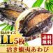 ......LL(120/130g)5 листов входит BBQ.! День отца * подарок на Bon Festival * подарок по случаю конца года подарок тоже оптимальный бесплатная доставка!