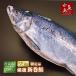  тщательно отобранный Niigata производство * натуральный [ лосось арамаки ]3kg предмет ограниченное количество производство 
