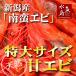  Niigata производство северная креветка [ юг . креветка ] свежесть выдающийся * sashimi для первоклассный очень большой размер 500g( рефрижератор )