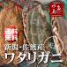  Niigata * Садо производство натуральный wataligani миграция . женский большой 5 кубок бесплатная доставка 