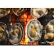 �傠���� 1kg 11�`15�� ��A�T�� ��L �����ނ炳�� BBQ ������ �C�N �������� �ЊL �k�� ��̓� ���̓� �h�V ���� �M�t�g �֘A�摜3