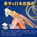 ���Y����߉��� 80�� ���� �Q�\ ����ߑ� ������� �X���� ����߂��� �X�����Q�\ ���� ���� �C�J ��̓� ���̓� �h�V ���� �M�t�g �֘A�摜5