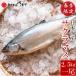 サクラマス 本鱒 2.5kg 生 一尾