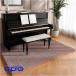  upright piano soundproofing carpet impact absorption * sound-absorbing floor mat slip prevention * dirt prevention home use enduring .* large area thickness. exist impact absorption pad : E,