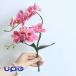 . butterfly orchid artificial flower interior real fake flower present Mother's Day present opening festival ..... not flower decoration stylish 