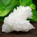 饴ʥ եե flosferri 饹  (97.5g) ᥭ ｣ 󥿥ꥢ ۥ磻ȥ饴ʥ   ʤ