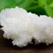 饴ʥ եե flosferri 饹  (163.8g) ᥭ ｣ 󥿥ꥢ ۥ磻ȥ饴ʥ   ʤ