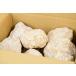 �����Ղ��15kg�� �傫�߃T�C�Y �����b�R�Y �W�I�[�h ����Ă��Ȃ��W�I�[�h �l�ߍ��킹 �A�\�[�g�Z�b�g ���� ���� ���� �΃K�`�� �֘A�摜1