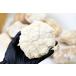 �����Ղ��15kg�� �傫�߃T�C�Y �����b�R�Y �W�I�[�h ����Ă��Ȃ��W�I�[�h �l�ߍ��킹 �A�\�[�g�Z�b�g ���� ���� ���� �΃K�`�� �֘A�摜3