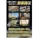����~�߃e�[�v ���O �K�i 25mm�~5m �ו� 2.5cm ���ׂ�~�߃e�[�v �h���e�[�v �m���X���b�v�e�[�v ���͔S�� �ϐ� �X���[�v ���� �R���N���[�g �֘A�摜5