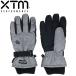 スノーグローブ メンズ ゴアテックス XTM 手袋 スノーボード 耐水 防寒 グレー DM002
