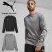  немедленная уплата возможно *[PUMA] Puma TEAMGOAL мульти- тренировочный джерси футбол 659450