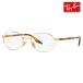  outlet RayBan оправа для очков Ray-Ban RayBan RX6481V 2500 51 53 овальный metal выцветание te-to комбинированный модные очки без линз очки 