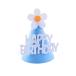 [Sunny Glow] happy день рождения день рождения украшение установка младенец шляпа party шляпа оборудование орнамент простой натуральный фотосъемка мелкие вещи item 