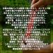 �y5�F �e1�z �V���R����H�^�Œ�X�g���b�`�o���h �|�[�^�u���V���R���o���h �u���b�N/�O���[/���b�h/�C�G���[/�I�����W ��13*1.5cm �֘A�摜1