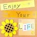 �y100�z�ڗ����Ȃ��ǃs�� ��e�����s�� ��������т傤 �����i�B ���Ԍ^ ���� ���[�P�[�X�t�� �j��11mm ���a��12mm �֘A�摜4