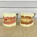 NATURAL DENTAL STUDY MODEL зуб. модель 2 позиций комплект [ б/у ] натуральный зубной старт ti модель зуб . обучающий материал зуб форма nisin/516727