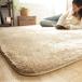 �z�b�g�J�[�y�b�g �J�o�[ 2�_�Z�b�g 3���p 240x200cm �����` �z�b�g�J�[�y�b�g�{�� ���O �}�b�g �V���M�[ �􂦂� ����@ �ې� ������� �k�� �� ���n