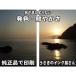 �݊��i BCI-331 BCI-330/ 6���R�I�� ��e�� �v�����^�[�C���N �݊� �L���m�� canon TS8830 TS8730 TS8630 TS8530 �֘A�摜4