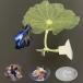  бойцовая рыбка для bed leaf гамак бойцовая рыбка. . пол 