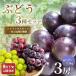 9 месяц последняя декада после отправка виноград 3 вида комплект ( автомобиль in мускат +.. товар вид 2 вид ) примерно 1.3~1.5kg.. виноград мускат выгода фрукты . сезон было использовано комплект 
