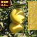RED APPLE [ Aomori прямая поставка 11 месяц сверху ... последовательный отгрузка ]si nano Gold .. для примерно 2.5kg.. яблоко яблоко местного производства Aomori .. для .. фрукты 
