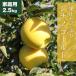 RED APPLE [ Aomori прямая поставка 11 месяц сверху ... последовательный отгрузка ]si nano Gold есть перевод для бытового использования примерно 2.5kg.. яблоко яблоко местного производства Aomori есть перевод .. фрукты 