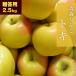 RED APPLE [ Aomori прямая поставка 10 месяц сверху ... последовательный отгрузка ]toki.. для примерно 2.5kg.. яблоко яблоко местного производства Aomori .. для .. фрукты 