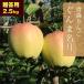 RED APPLE [ Aomori прямая поставка 11 месяц сверху ... последовательный отгрузка ]... название месяц .. для примерно 2.5kg.. яблоко яблоко местного производства Aomori .. для .. фрукты 