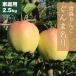 RED APPLE [ Aomori прямая поставка 11 месяц сверху ... последовательный отгрузка ]... название месяц есть перевод для бытового использования примерно 2.5kg.. яблоко яблоко местного производства Aomori есть перевод .. фрукты 
