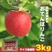 [ Nagano префектура производство ].... яблоко ( солнечный ..) 3kg размер нет выбор другой фрукты Shinshu меласса ввод есть перевод производство прямой 