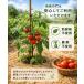 ���| 120cm 100�{ �| �V�R�| �|�x�� �Y���� ���|�p �_�Ɨp ��A���x�� �|���H�p �֘A�摜2