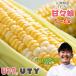  corn ...(.......) 5~6ps.@..-. cotton plant pan 