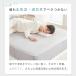 �{�b�N�X�V�[�c ��100% �Z�~�_�u�� �~�z�c�J�o�[ �m�a���p �}�b�g���X�J�o�[ �x�b�h�J�o�[ �V�[�c �~�z�c�J�o�[ �􂦂� �x�b�g�V�[�c �{�b�N�X�J�o�[ �֘A�摜4