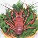  Ehime ..( Исэ город море .) 1-2 хвост 200-250g минут sashimi . предмет .... предмет бесплатная доставка . мир море. . оптовый склад 