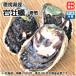  скала ..(300~400g×10 шт ).. Ehime ( время ограничено 5 месяц средний .~8 конец месяца ) бесплатная доставка Hokkaido / Okinawa / Tohoku. доставка отдельно . мир море. . оптовый склад 