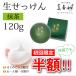 初回限定半額 洗顔 石鹸 抹茶の生せっけん 練り状タイプ 120g スパチュラ 泡立てネット 濃密泡 ギフト プレゼント 美香柑