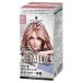 ｇｏｔ２ｂ ボンディング・メタリックス ヘアカラー シルバーサクラ　５５ｇ＋１１０ｍＬ/ヘアカラー