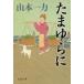  Tama .../ Bungeishunju / Yamamoto один сила ( библиотека ) б/у 