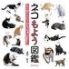  кошка . для иллюстрированная книга цвет . рисунок ...... nyan.?/ химия такой же человек /. перо .( монография ( soft покрытие )) б/у 
