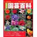  садоводство различные предметы цветок . декоративное растение * трава * Mini овощи * фруктовое дерево. .. person . полная загрузка больше . модифицировано . версия /btik фирма ( Mucc ) б/у 